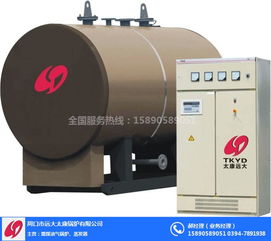 遠(yuǎn)大太康鍋爐廠 2T立式熱水鍋爐在環(huán)保工程中的應(yīng)用