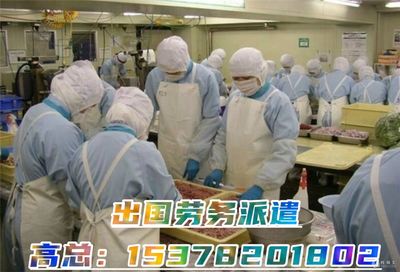 高薪海外就業 建筑工、廚師、司機、普工年薪40萬起，專業勞務派遣助您圓夢